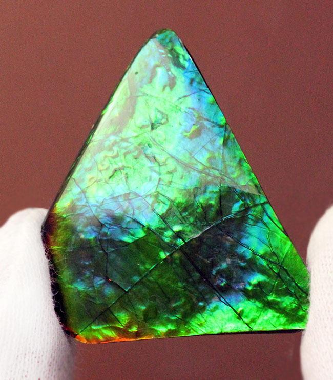 驚異的な色の変化をお楽しみください。グリーン&ブルー!宝石アンモライト(Ammolite)の高品位ピース。保存ケース付き。(その3)