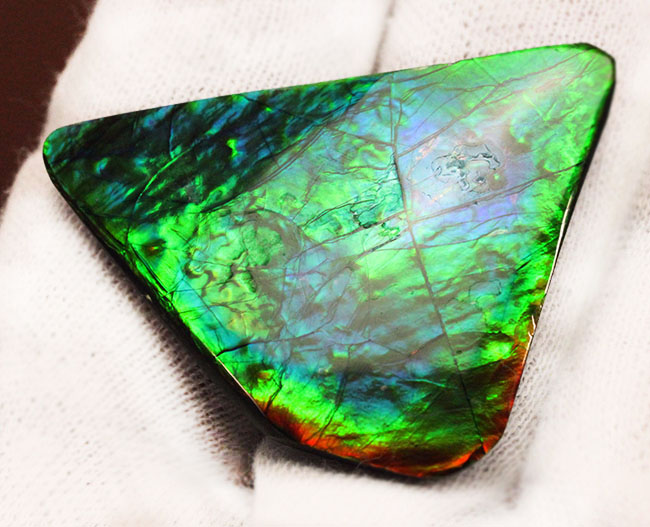 驚異的な色の変化をお楽しみください。グリーン&ブルー!宝石アンモライト(Ammolite)の高品位ピース。保存ケース付き。(その5)