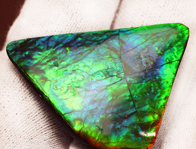 驚異的な色の変化をお楽しみください。グリーン&ブルー!宝石アンモライト(Ammolite)の高品位ピース。保存ケース付き。(その6)
