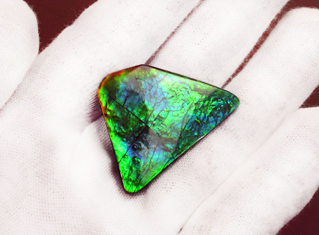 驚異的な色の変化をお楽しみください。グリーン＆ブルー！宝石アンモライト（Ammolite）の高品位ピース。保存ケース付き。（その9）