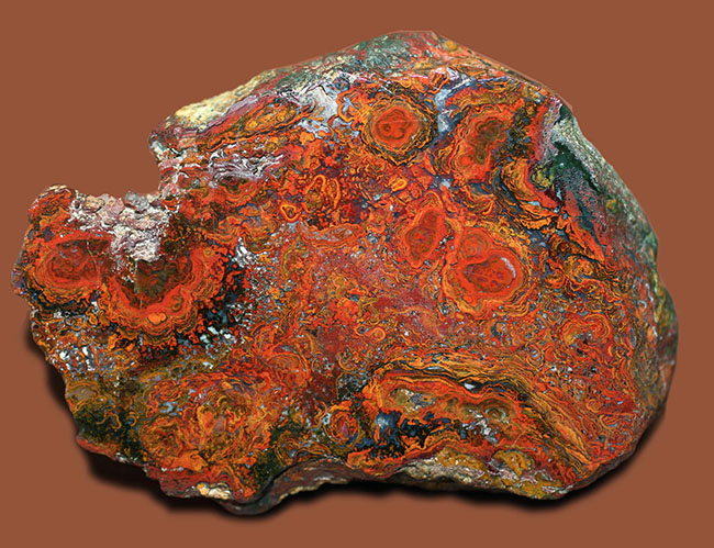 鮮やかな赤に目を奪われる、ストロマトライトを含むハンガリー産のメノウ(Agate)(その1)