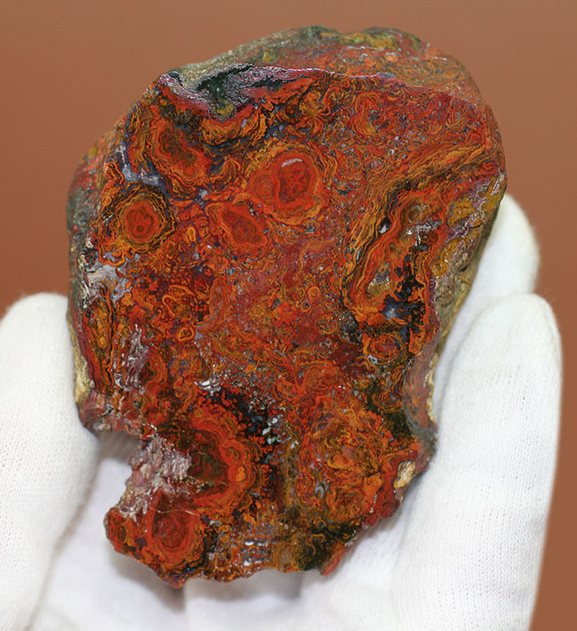 鮮やかな赤に目を奪われる、ストロマトライトを含むハンガリー産のメノウ(Agate)(その2)