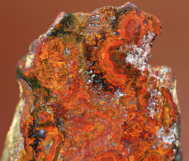 鮮やかな赤に目を奪われる、ストロマトライトを含むハンガリー産のメノウ(Agate)(その3)