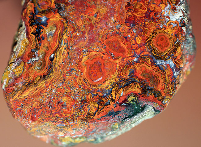 鮮やかな赤に目を奪われる、ストロマトライトを含むハンガリー産のメノウ(Agate)(その4)