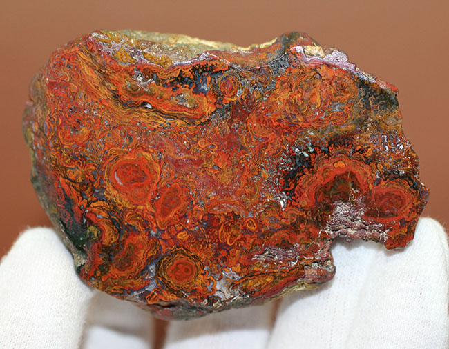 鮮やかな赤に目を奪われる、ストロマトライトを含むハンガリー産のメノウ(Agate)(その5)