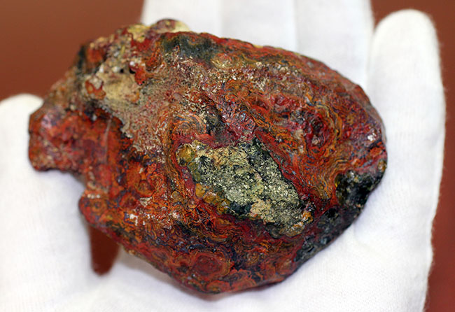 鮮やかな赤に目を奪われる、ストロマトライトを含むハンガリー産のメノウ(Agate)(その6)