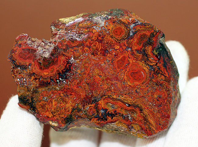 鮮やかな赤に目を奪われる、ストロマトライトを含むハンガリー産のメノウ(Agate)(その7)
