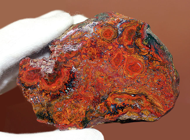 鮮やかな赤に目を奪われる、ストロマトライトを含むハンガリー産のメノウ(Agate)(その9)