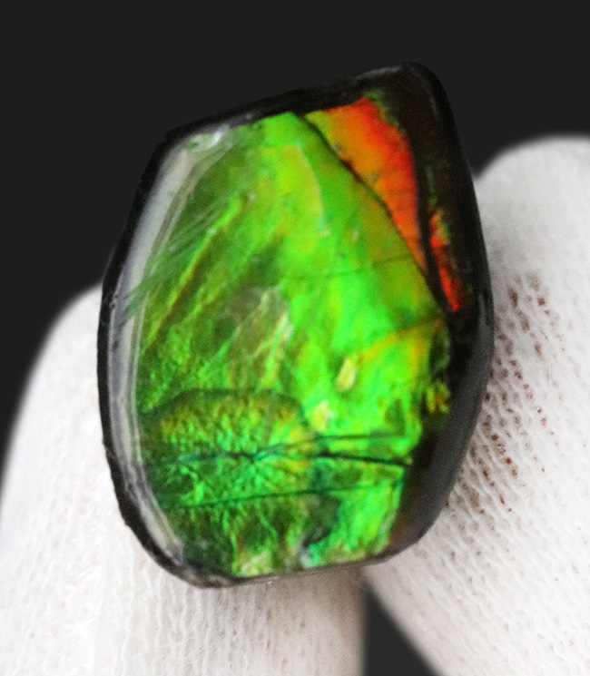 個性的なアイテム！鮮やかなグリーンを呈するアンモライト（Ammolite）の原石を使ったピンブローチ（その2）
