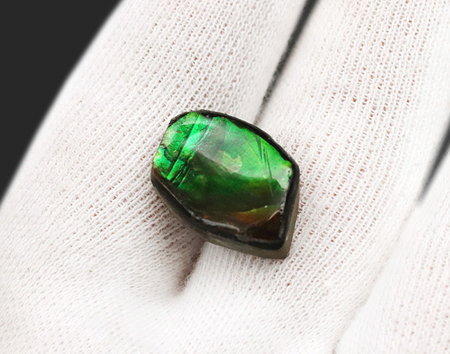 個性的なアイテム!鮮やかなグリーンを呈するアンモライト(Ammolite)の原石を使ったピンブローチ(その4)