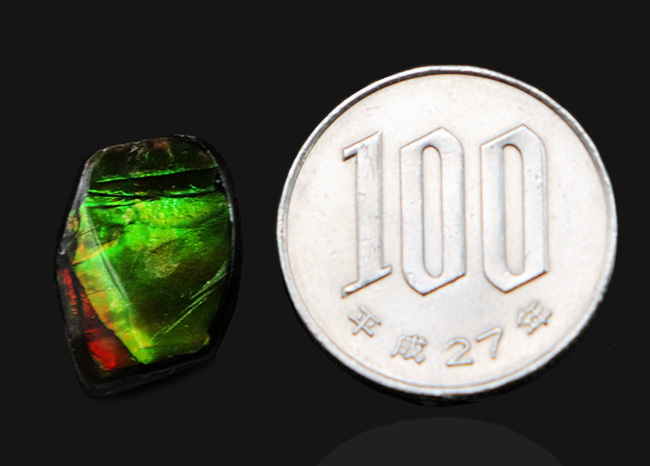 個性的なアイテム!鮮やかなグリーンを呈するアンモライト(Ammolite)の原石を使ったピンブローチ(その7)