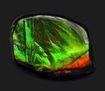個性的なアイテム！鮮やかなグリーンを呈するアンモライト（Ammolite）の原石を使ったピンブローチ