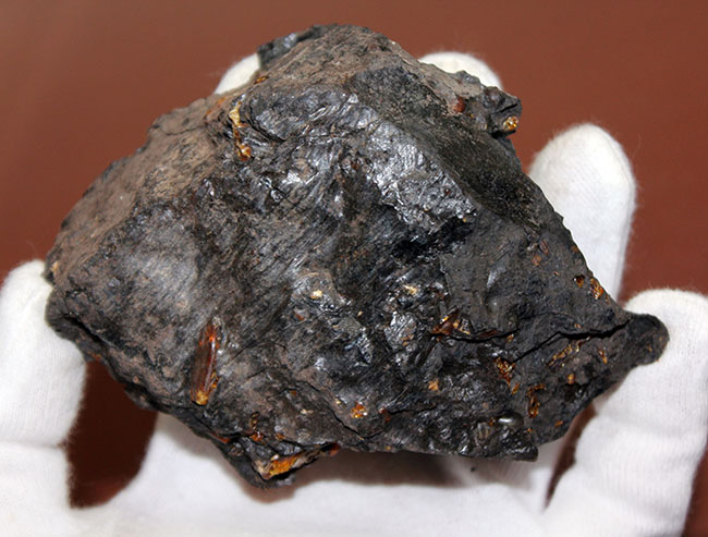 樹脂が染み出したような味わいが新鮮、新生代古代三紀の琥珀。産地は国内(兵庫県神戸市)(その4)