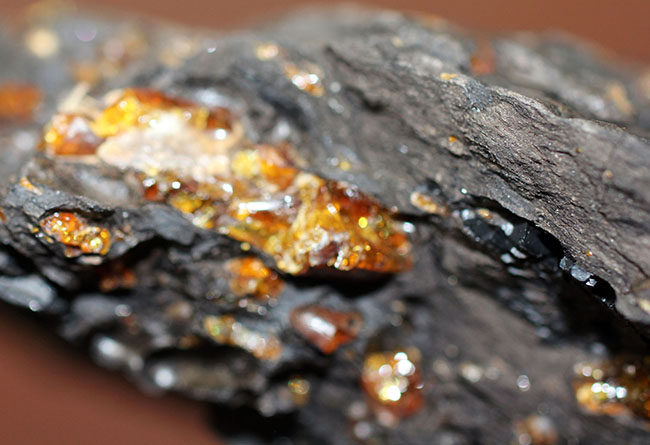 樹脂が染み出したような味わいが新鮮、新生代古代三紀の琥珀。産地は国内(兵庫県神戸市)(その6)