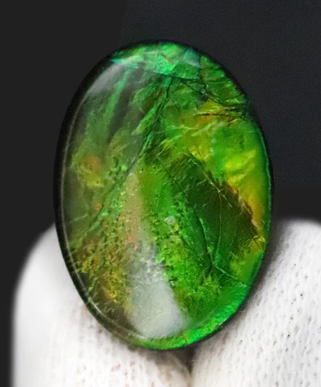 ビビッドで爽やかなグリーンが魅力的! 生物起源の宝石・アンモライト(Ammolite)のピース(その2)