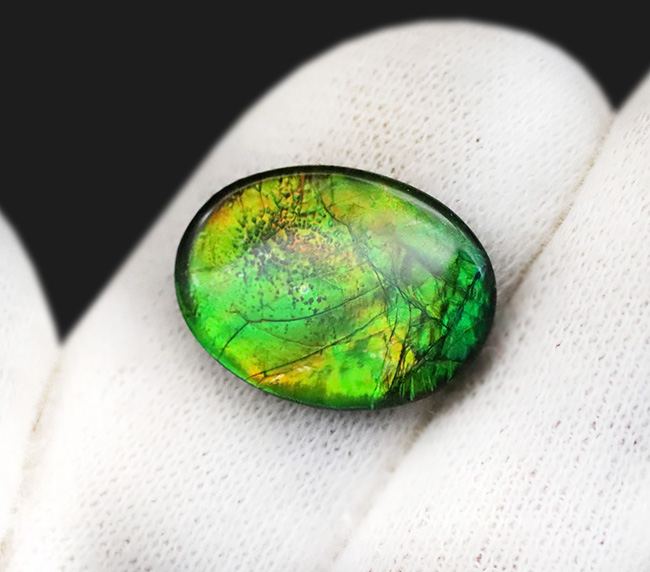 ビビッドで爽やかなグリーンが魅力的! 生物起源の宝石・アンモライト(Ammolite)のピース(その3)
