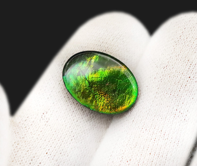 ビビッドで爽やかなグリーンが魅力的! 生物起源の宝石・アンモライト(Ammolite)のピース(その4)