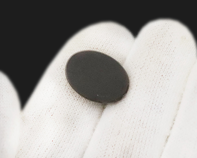 ビビッドで爽やかなグリーンが魅力的! 生物起源の宝石・アンモライト(Ammolite)のピース(その5)