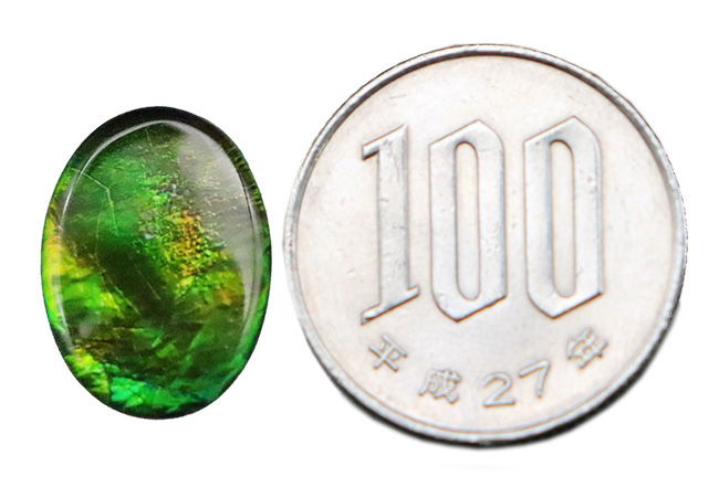 ビビッドで爽やかなグリーンが魅力的! 生物起源の宝石・アンモライト(Ammolite)のピース(その7)