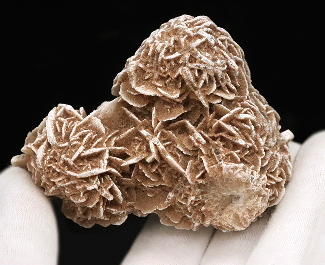 素敵な乳白色と緻密な花弁状結晶が美しい……メキシコ産砂漠のバラ（Desert Rose）（その3）