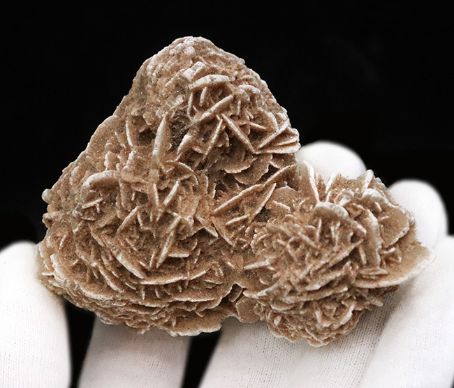 素敵な乳白色と緻密な花弁状結晶が美しい……メキシコ産砂漠のバラ