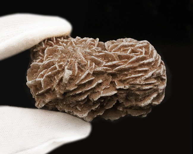 素敵な乳白色と緻密な花弁状結晶が美しい……メキシコ産砂漠のバラ