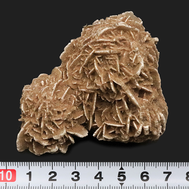 素敵な乳白色と緻密な花弁状結晶が美しい……メキシコ産砂漠のバラ