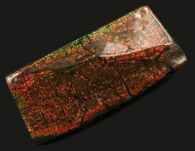 レッドドラゴン!細かなクラックが美しい、宝石、アンモライト(Ammolite)の大型ピース(その2)