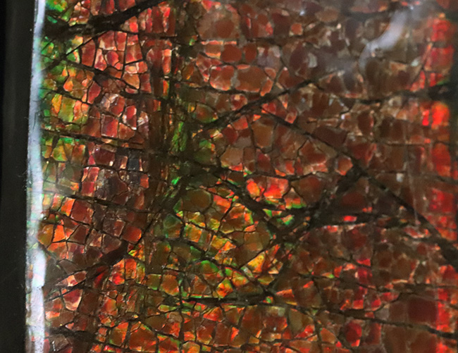 レッドドラゴン!細かなクラックが美しい、宝石、アンモライト(Ammolite)の大型ピース(その5)