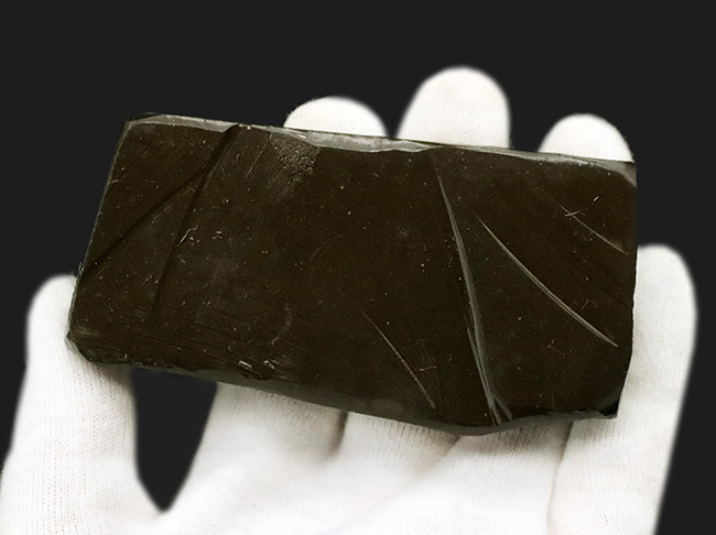 レッドドラゴン!細かなクラックが美しい、宝石、アンモライト(Ammolite)の大型ピース(その9)