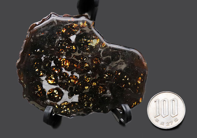 宇宙が作り出した宝石！。透明度が高い状態の良いかんらん石を多数含む、ケニア産のパラサイト隕石（本体防錆処理済み）（その10）