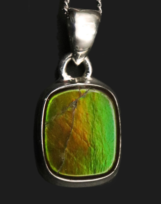 ハイクオリティ!目のさめるような非常に美しいアンモライト(Ammolite)を使ったペンダントトップ。(チェーン、革紐、ジュエリーケース付き)(その1)