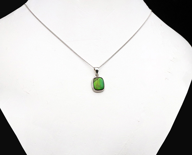 ハイクオリティ!目のさめるような非常に美しいアンモライト(Ammolite)を使ったペンダントトップ。(チェーン、革紐、ジュエリーケース付き)(その2)