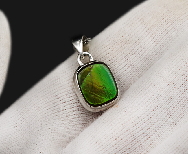 ハイクオリティ!目のさめるような非常に美しいアンモライト(Ammolite)を使ったペンダントトップ。(チェーン、革紐、ジュエリーケース付き)(その3)
