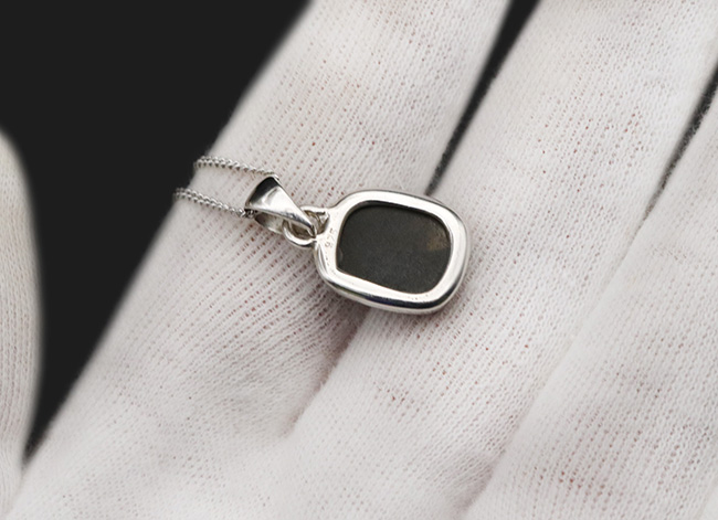 ハイクオリティ!目のさめるような非常に美しいアンモライト(Ammolite)を使ったペンダントトップ。(チェーン、革紐、ジュエリーケース付き)(その5)