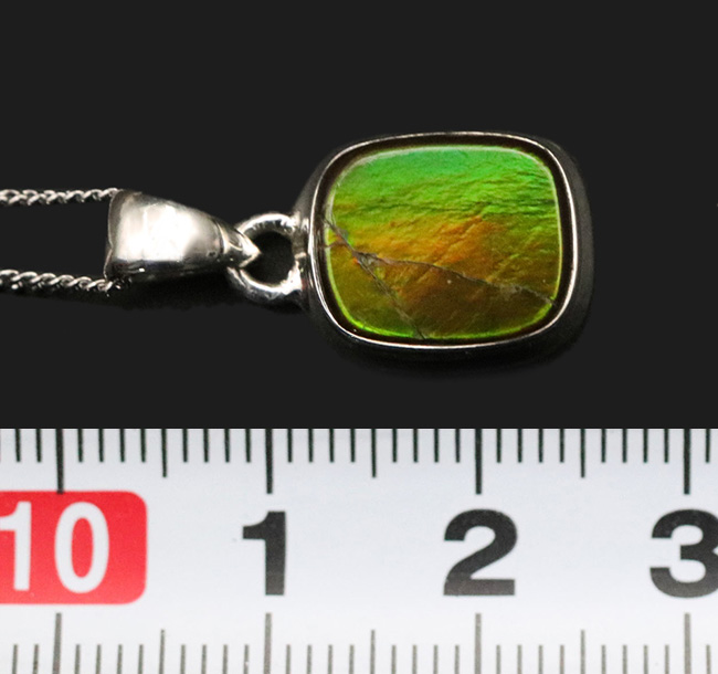ハイクオリティ!目のさめるような非常に美しいアンモライト(Ammolite)を使ったペンダントトップ。(チェーン、革紐、ジュエリーケース付き)(その6)