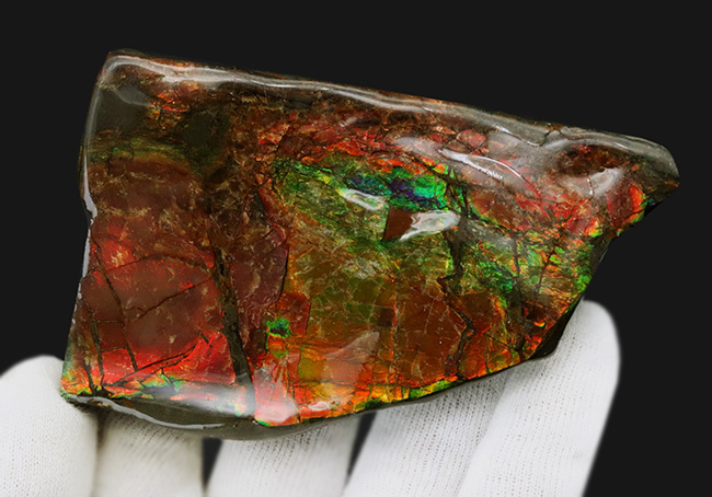 96ミリの大サイズ!鮮やかなレッド!美しいグラデーションを持つアンモライト(Ammolite)のピース(その3)
