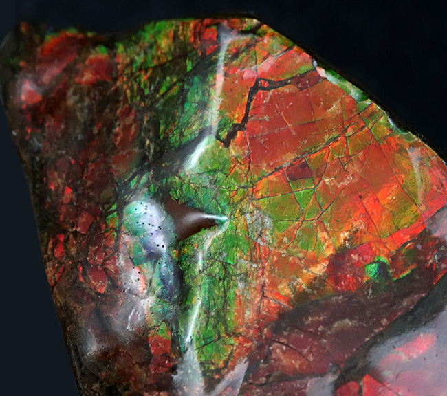96ミリの大サイズ!鮮やかなレッド!美しいグラデーションを持つアンモライト(Ammolite)のピース(その4)