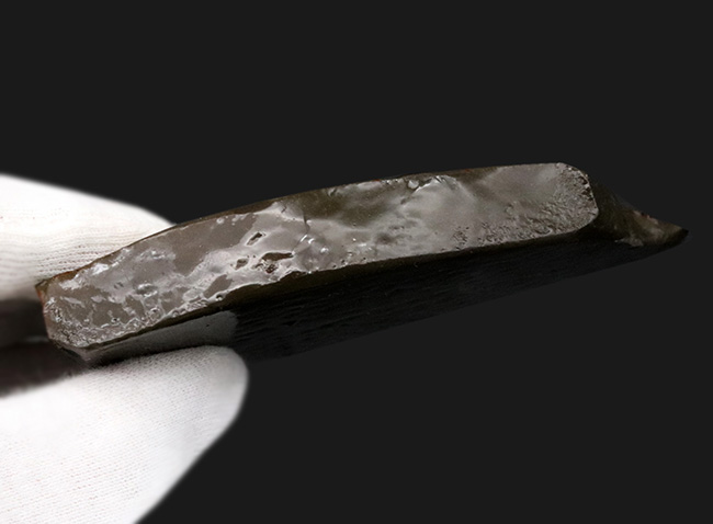96ミリの大サイズ!鮮やかなレッド!美しいグラデーションを持つアンモライト(Ammolite)のピース(その7)