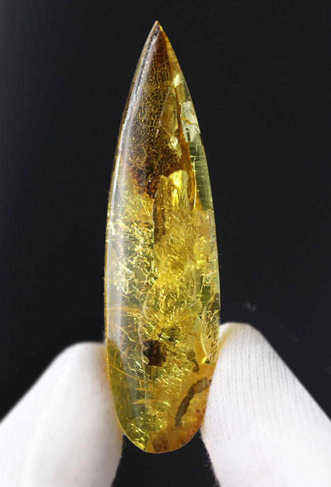 テクスチュアが保存された植物片を内包した、透明度の高いバルティックアンバー(Amber)(その1)