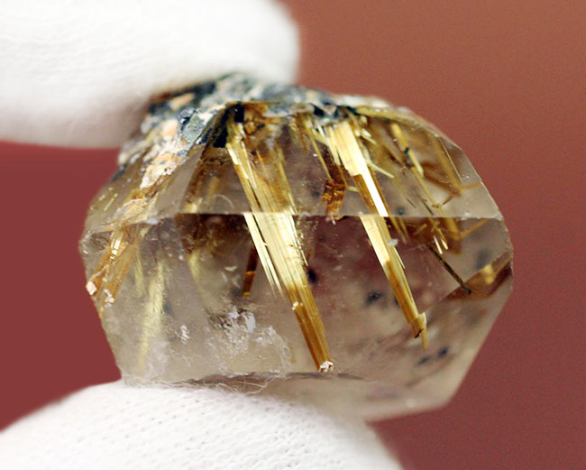 理想的な割合でルチルを含有したゴールデンルチルクオーツの天然結晶（その2）