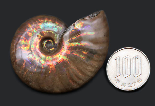 最も希少な色、紫を呈する箇所あり！紫を呈する箇所がある