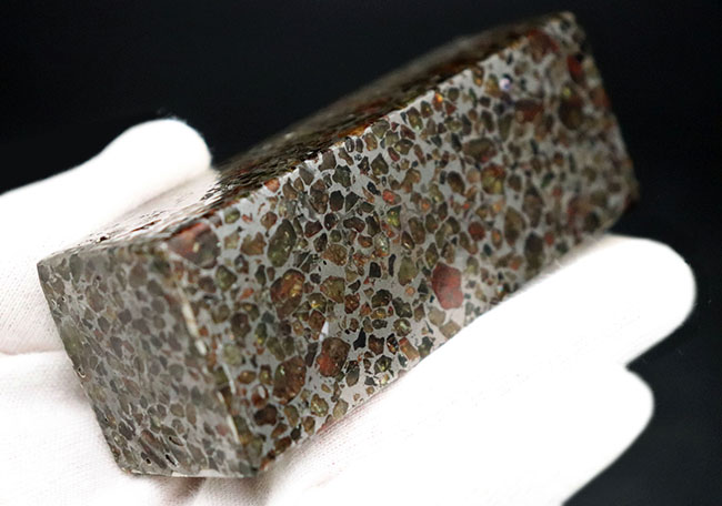 常識にとらわれないアンリアルなカッティング！この質量感、塊感！角柱でもやはり「世界で最も美しい隕石」の異名を体現し続ける、ケニア産の石鉄隕石、パラサイトのメガサイズ標本（その2）
