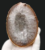 メロンの断面のよう？小物入れとしても使える、火山岩の内部に発達した石英結晶のジオード（Agate）