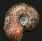 お客様の声　写真