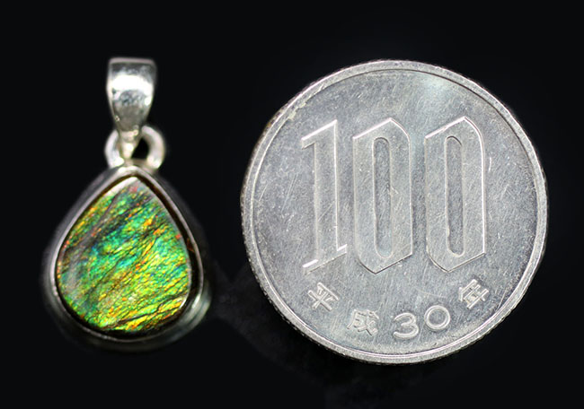 緑を中心に、深みのある春色を呈します。アンモライト（Ammolite）を使ったペンダントトップ。金具はスターリングシルバー。チェーン、革紐、ジュエリーケース付き。（その9）