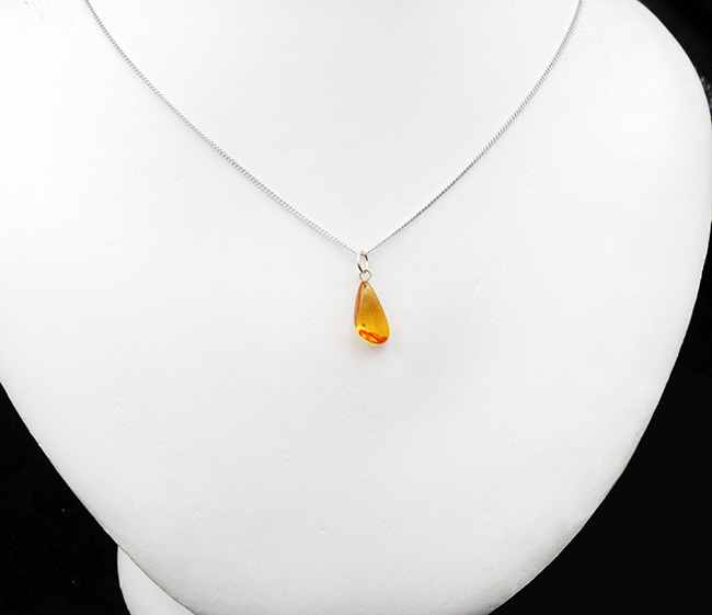 自然な形状が魅力的!4000万年前の虫を内包したバルティックアンバー(Amber)を使ったペンダントトップ(シルバーチェーン、高級ジュエリーケース付き)(その2)