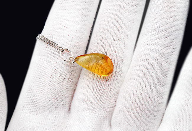 自然な形状が魅力的！４０００万年前の虫を内包したバルティックアンバー（Amber）を使ったペンダントトップ（シルバーチェーン、高級ジュエリーケース付き）（その3）