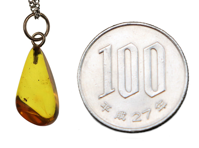 自然な形状が魅力的!4000万年前の虫を内包したバルティックアンバー(Amber)を使ったペンダントトップ(シルバーチェーン、高級ジュエリーケース付き)(その7)