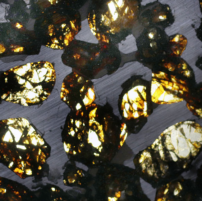 黄金色を呈する美しきかんらん石を御覧ください！２０１６年にケニアで発見された新しいパラサイト隕石（本体防錆処理済み）（その2）